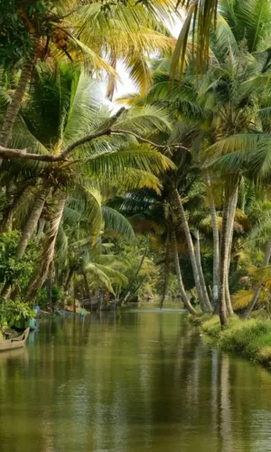 Alleppey_Backwaters.jpg